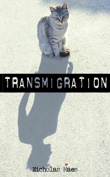 Transmigration [electronic resource] / Nicholas Maes.