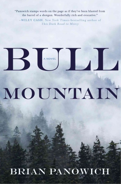 Bull Mountain : a novel / Brian Panowich.