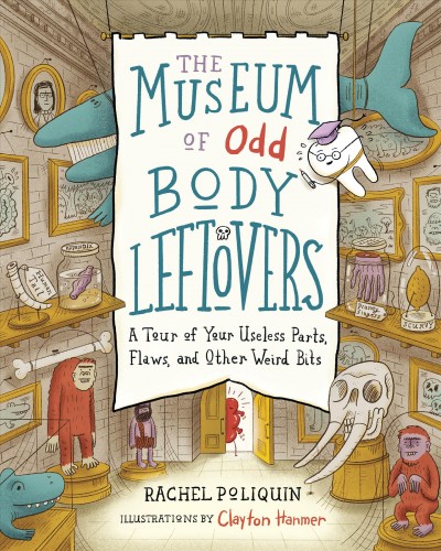 The museum of odd body leftovers : a tour of your useless parts, flaws, and other weird bits / Rachel Poliquin ; illustrations by Clayton Hanmer.