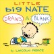 Little Big Nate draws a blank  Cover Image