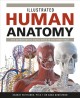Illustrated human anatomy : the authoritative visual guide to the human body  Cover Image