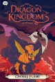 Go to record Dragon kingdom of Wrenly.  #7 : Cinder's flame