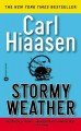 Go to record Stormy weather : a novel